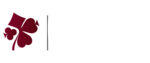 Felix Gaming Casino Game Developer Logo