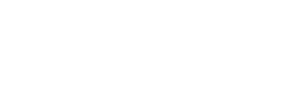 Need For Spin Casino Logo